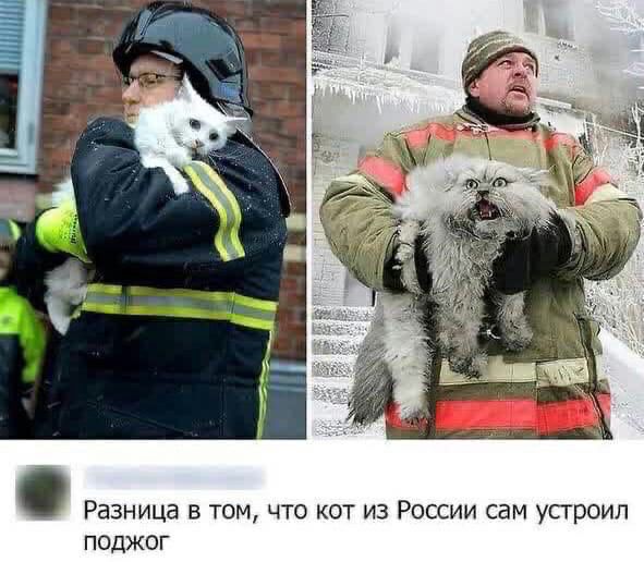 Разница в том что кот из России сам устроил поджог
