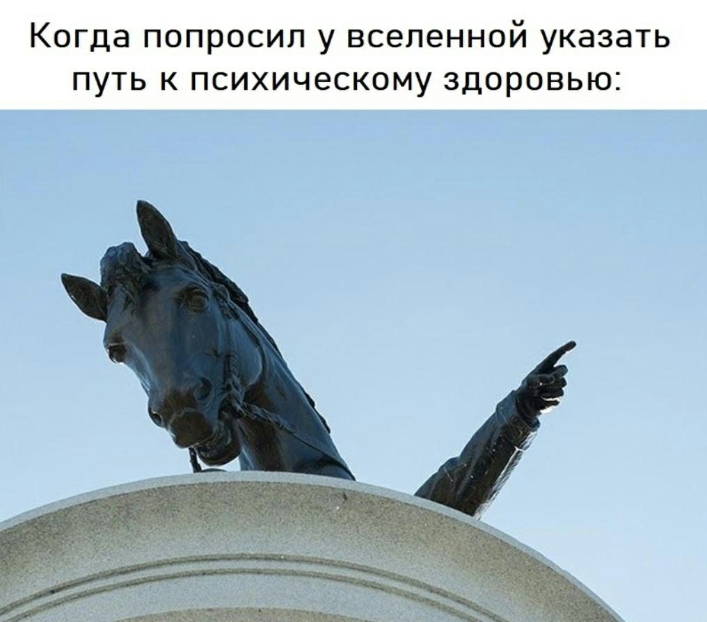 Когда попросил у вселенной указать путь к психическому здоровью