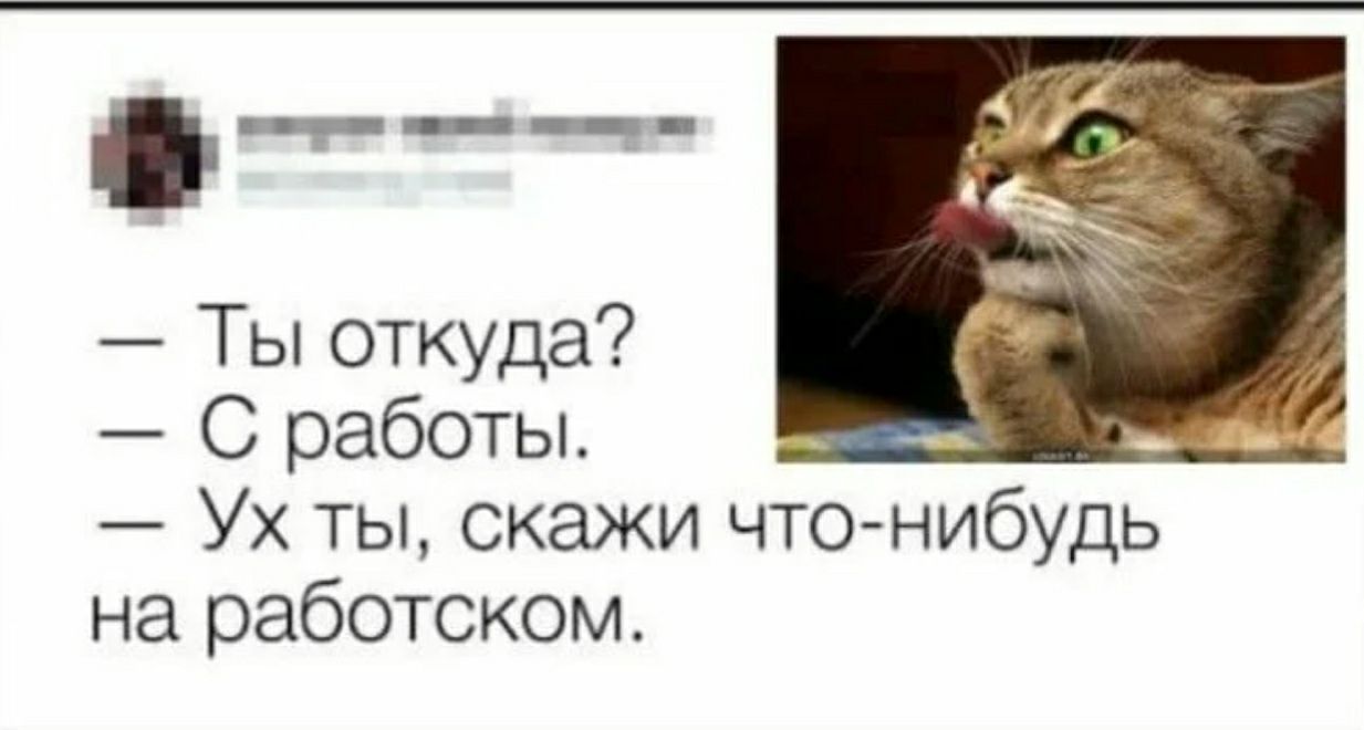 Ты откуда С работы Ух ты скажи что нибудь на работском
