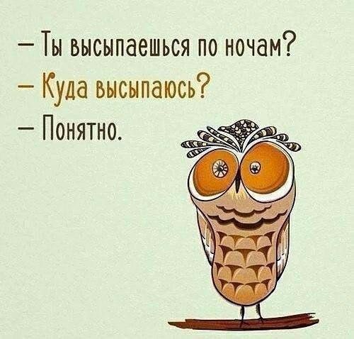 Ты высыпаешься по ночам Кула ьысыпаюсь Понятно