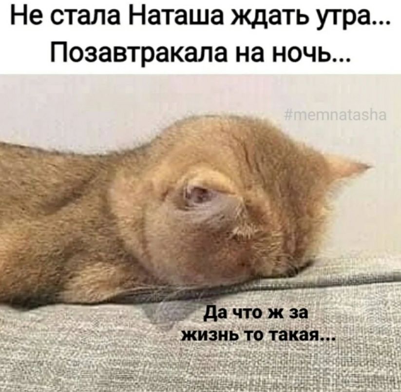Не стала Наташа ждать утра Позавтракала на ночь