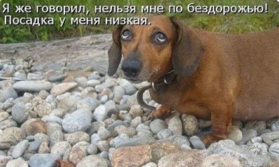 Я же говорил нельЗЁ ящуё о бездброжью Посадка у меня низка