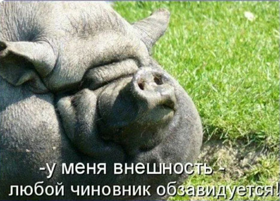 .м к и,
