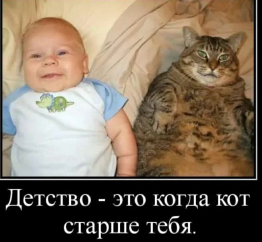 Детство это когда кот старше тебя