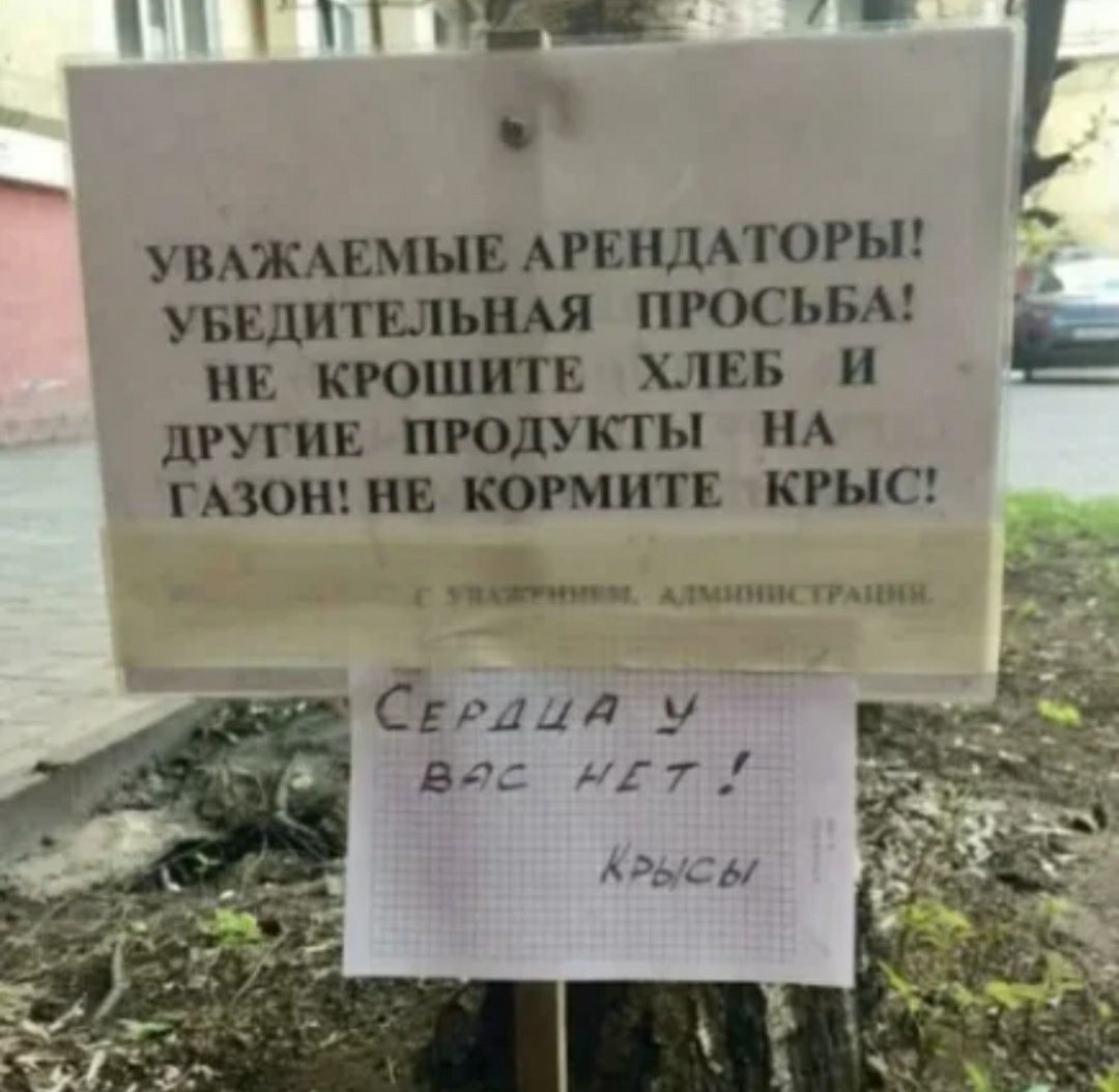 увдшмыв АРЕНДАТОР пюсьвм нь кюшитв хлвв и Е другии продукты НА гюонтв кормит кшсг п циииш линии г Сериал 31 Вд 417