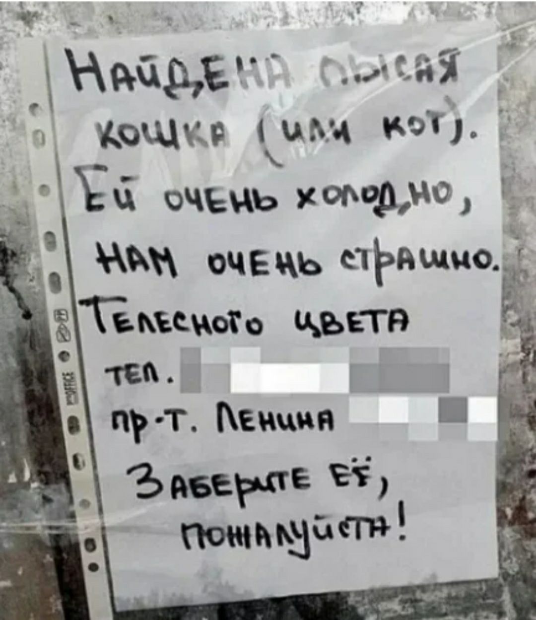 Х сыр Е тті _ О Е ь Кч О и Ф О Р