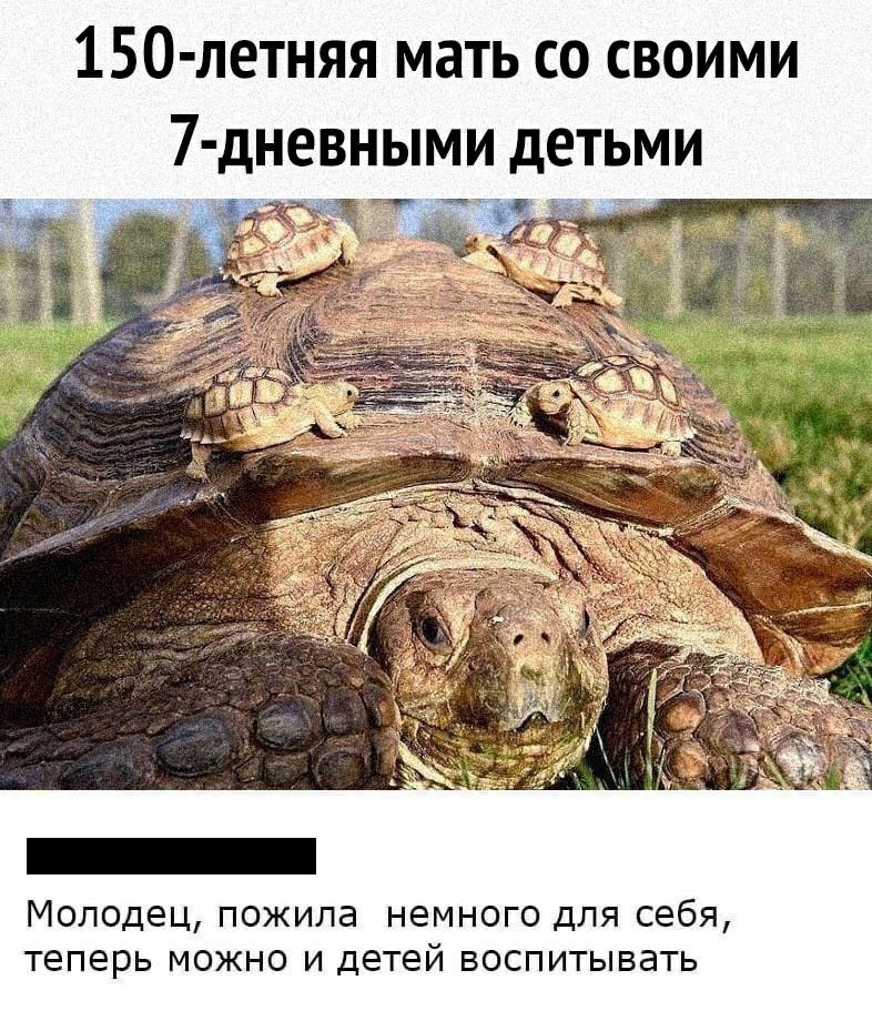 150 летняя мать со своими 7 дневными детьми Молодец пожила немного для себя теперь можно и детей воспитывать