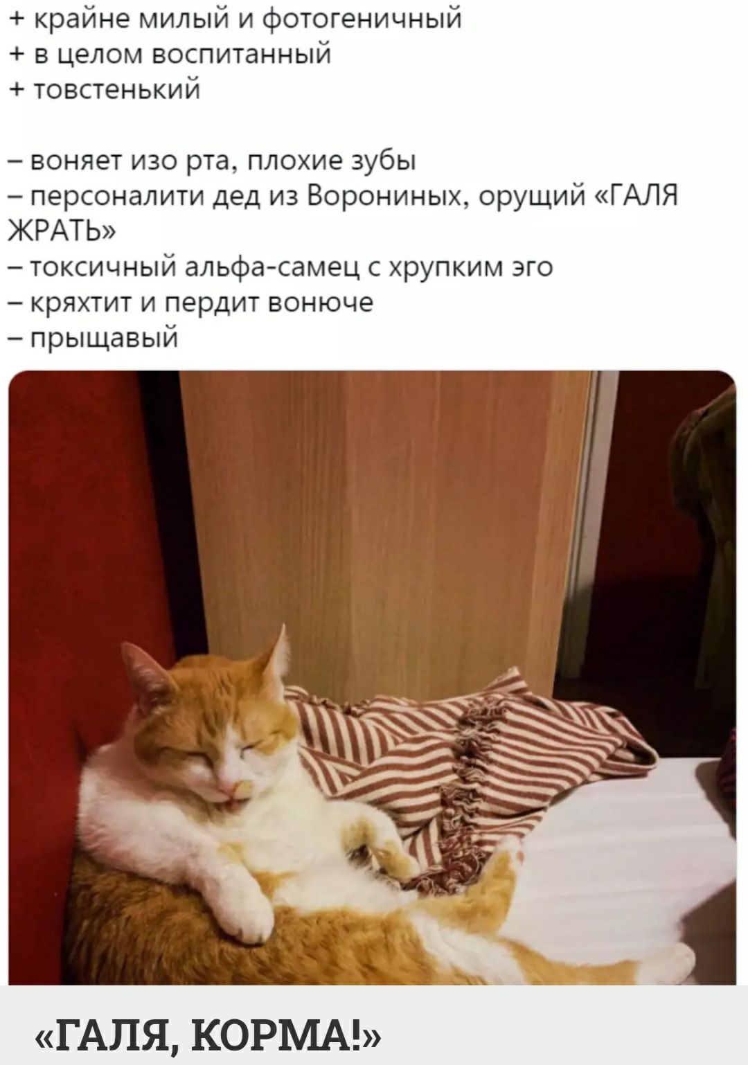 крайне милый и фотогеничный в целом воспитанный товстенький воняет изо рта плохие зубы персоналити дед из Ворониных орущий ГАЛЯ ЖРАТЬ токсичный альфасамец с хрупким эго кряхтит и пердит вонюче прыщавый