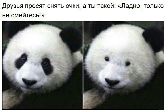 Друзья просят снять очки а ты такой Ладно только не смейтесь
