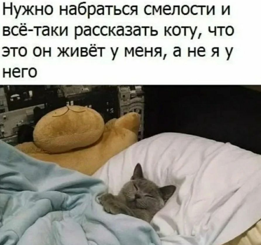 Нужно набраться смелости и всё таки рассказать коту что это он живёт у меня а не я у него