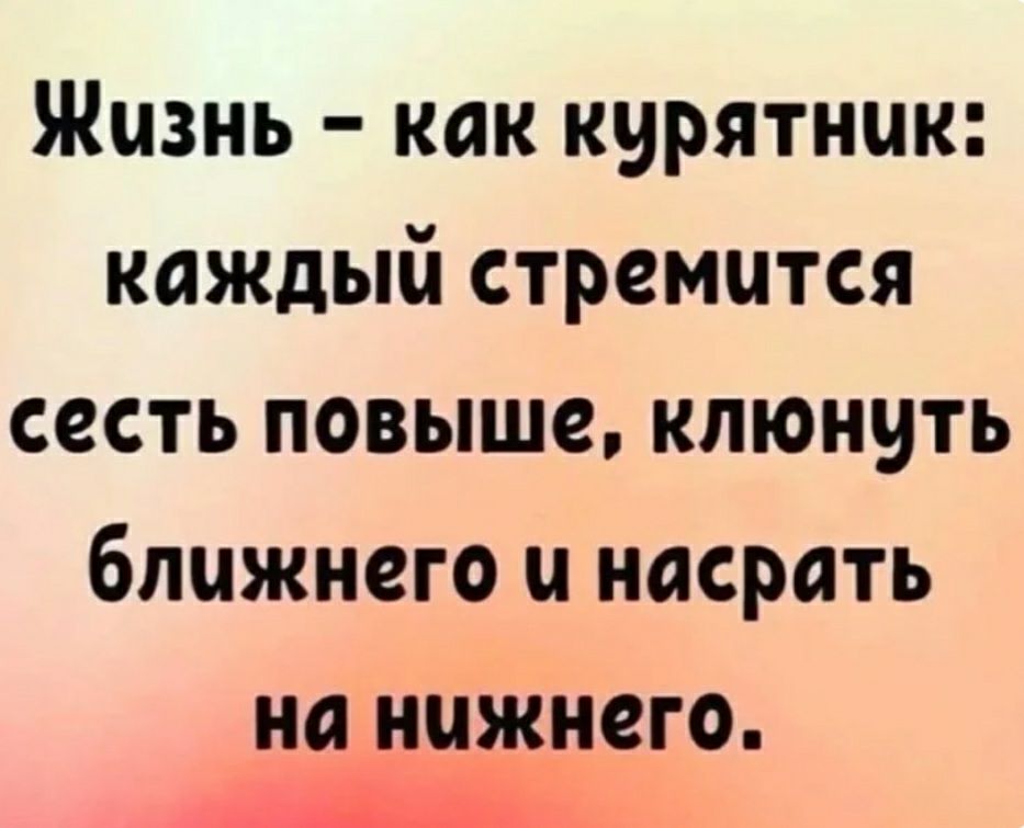 Жизнь как курятник каждый стремится сесть повыше клюнить ближнего и насрать на нижнего __