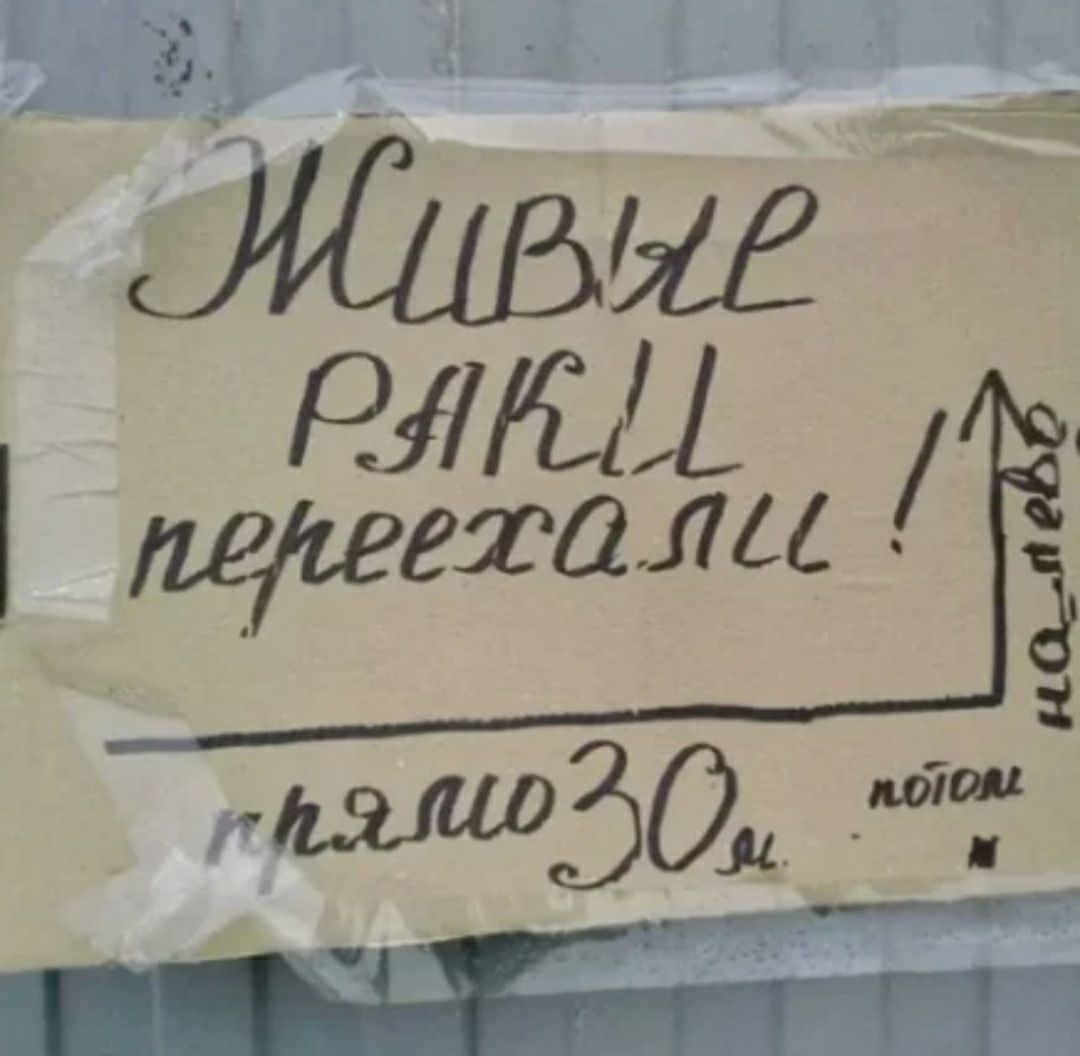 » ои оьь жирие ,   мзёё:!ш  ё гшмдэо мйа.и н