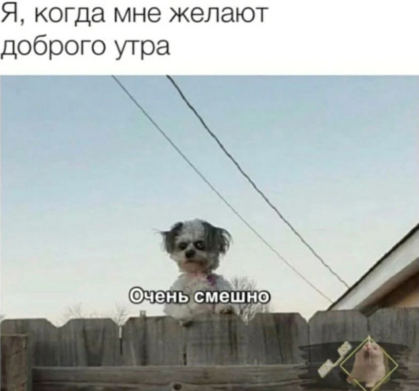 Я когда мне желают доброго утра