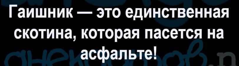 Гаишник это единственная скотина которая пасется на асфальте