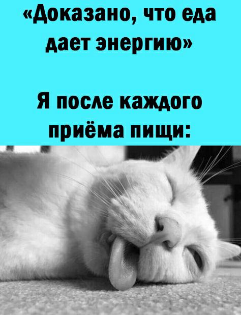 доказано что еда дает энергию я после каждого приёма пищи