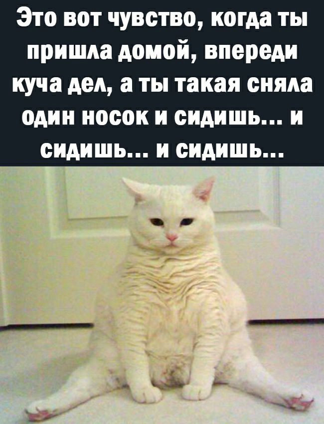 Это вот чувство когда ты пришла домой впереди куча дел а ты такая оняда один носок и сидишь и сидишь и сидишь