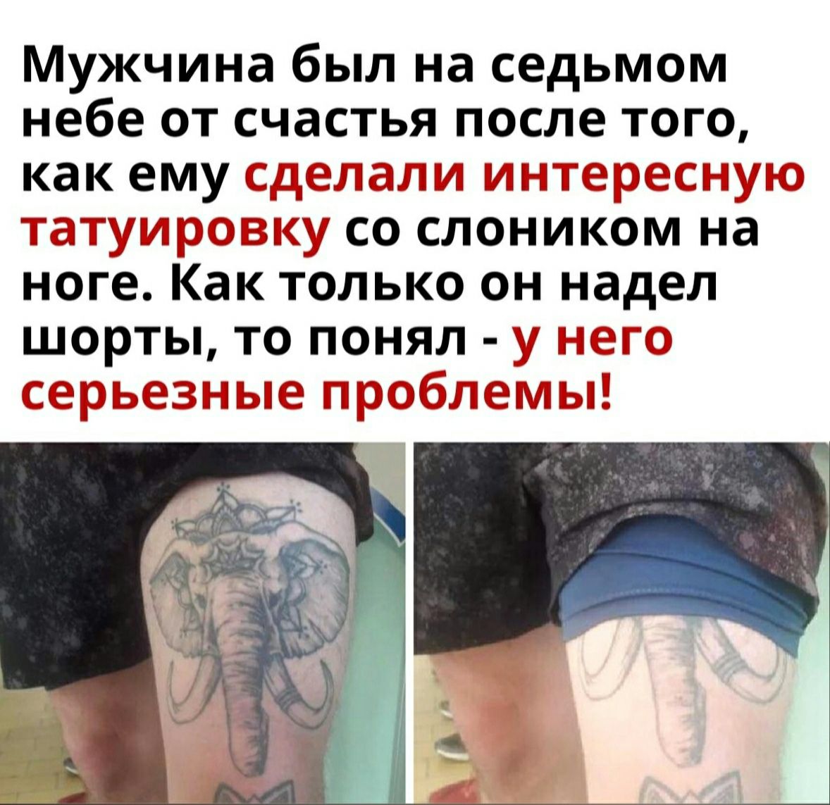 Мужчина был на седьмом небе от счастья после того как ему тсцмгш777 ПС 7 Тб 7 и 7 со слоником на ноге Как Только он надел шорты то понял 17 и К ГЬ 35 НПтч і 171