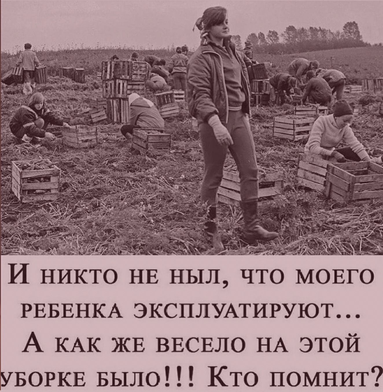 у 7_ч И НИКТО НЕ ныл что мовго РЕБЕНКА ЭКСПЛУАТИРУЮТ А КАК ЖЕ ввсвло НА этой БОРКЕ Было Кто помнит