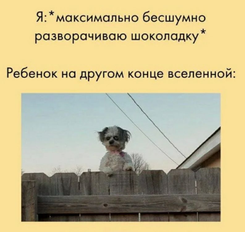 Ямаксимально бесшумно разворачиваю шоколадку Ребенок на другом конце вселенной