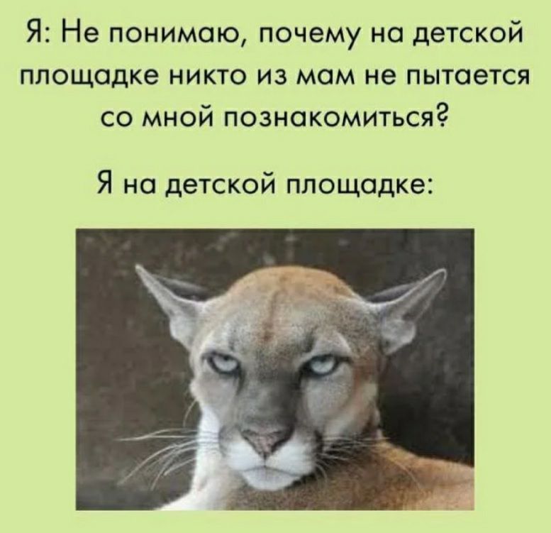 Я Не понимаю почему на детской площадке никто из мом не пытается со мной познокомиться Я на детской площадке