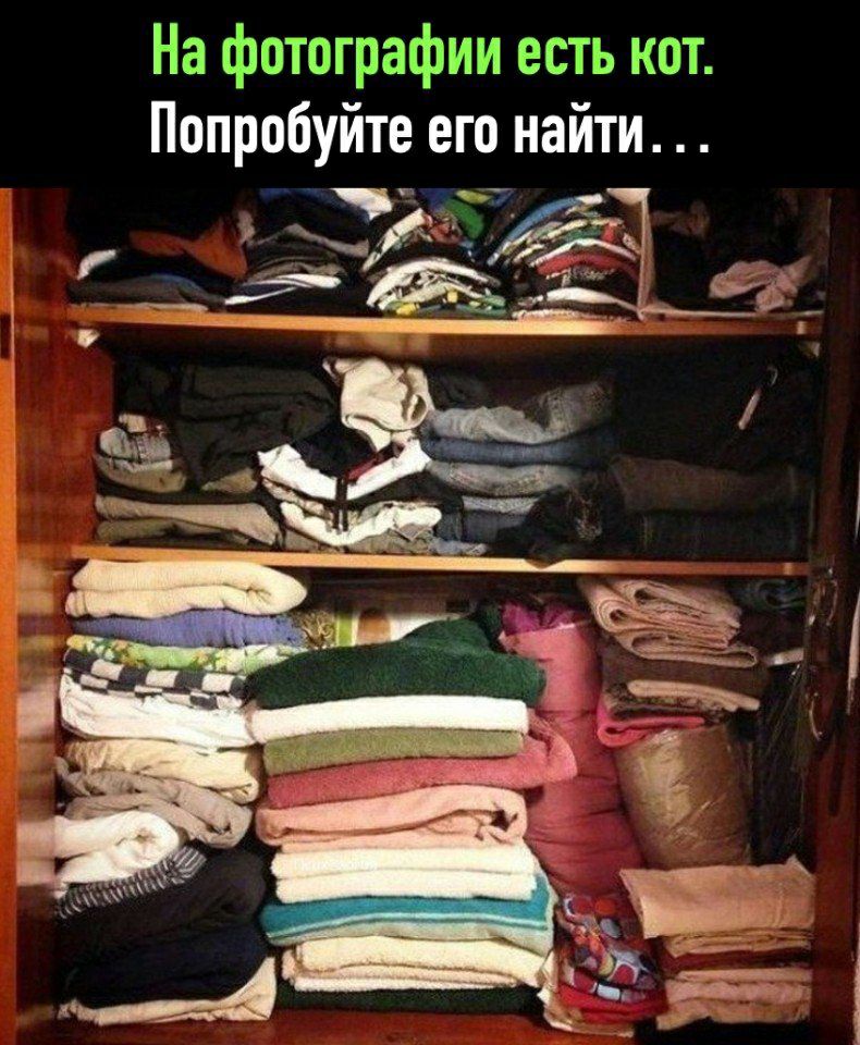 На трафйи ть БЮТ Попробуйте его найти