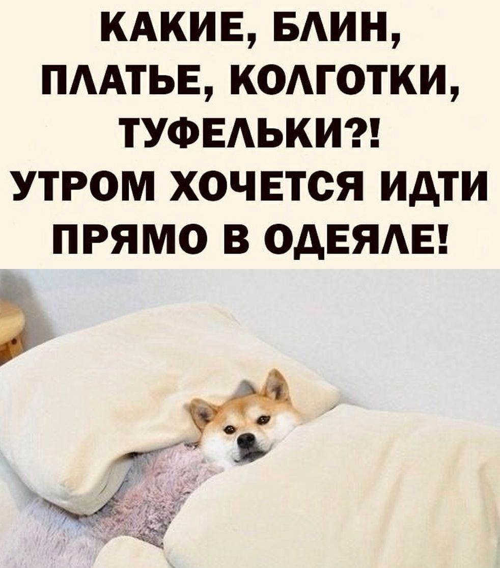 КАКИЕБАИН пмтьв кодготки ТУФЕАЬКИ утром хочется идти прямо в ОАЕЯАЕ