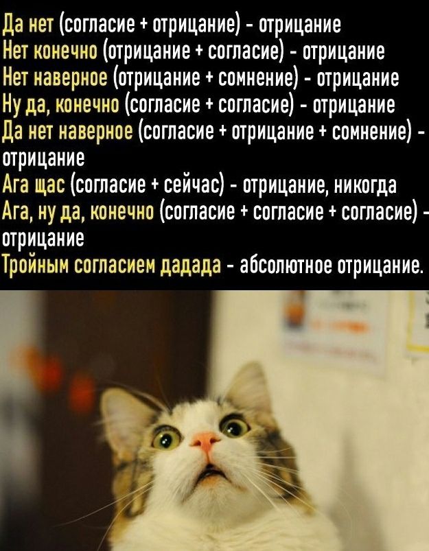 Да нет согласие отрицание отрицание Нет конечно отрицание согласие отрицание Нет наверное отрицание сомнение отрицание Ну да конечно согласие согласие отрицание да нет наверное согласие отрицание сомнение отрицание Ага щас согласие сейчас отрицание никогда Ага ну да конечно согласие согласие согласие отрицание Тройным согласием дадада абсолютное отрицание