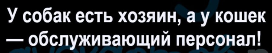 У собак есть хозяин а у кошек обслуживающий персонал