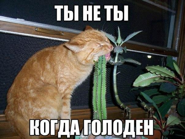Ь НЕ ТЫ