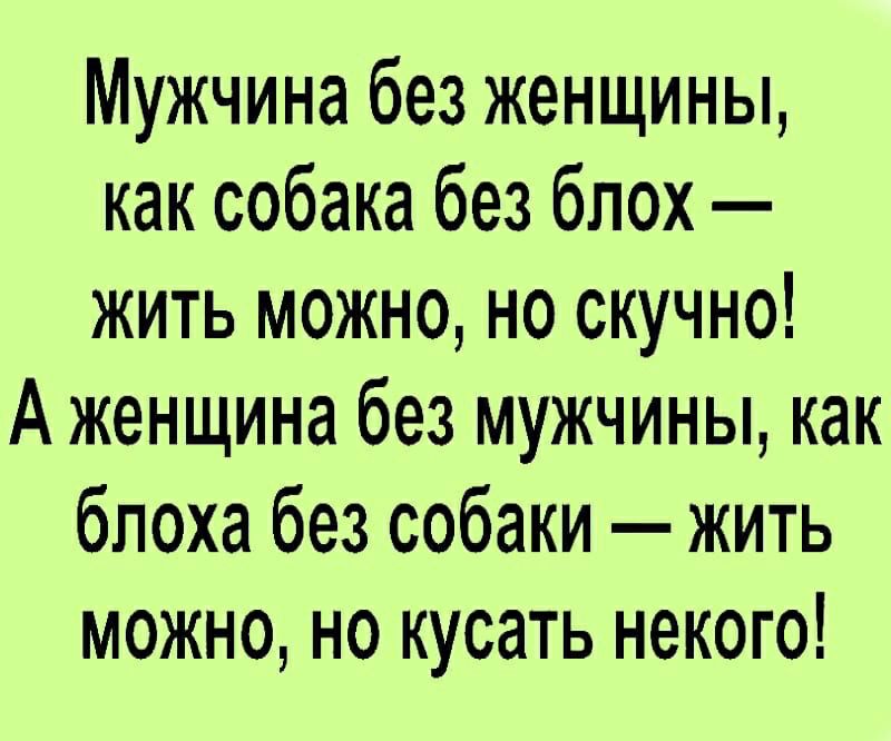 Мужчина без женщины как собака без блох жить можно но скучно А женщина без мужчины как бпоха без собаки жить можно но кусать некого