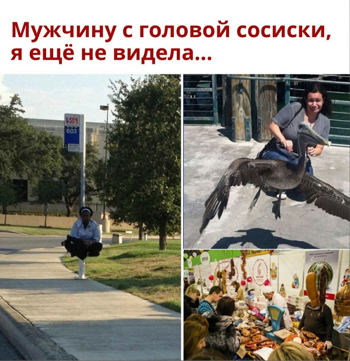 Мужчину с головой сосиски я ещё не видела _ __