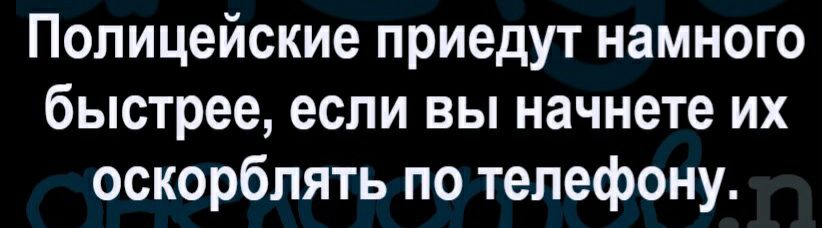 Полицейские приедут намного быстрее если вы начнете их оскорблять по телефону