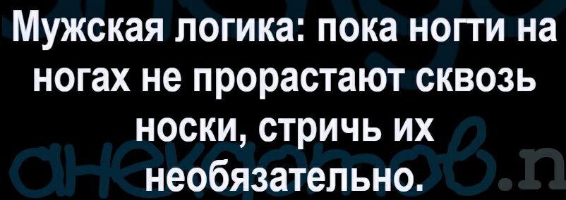 Мужская логика пока нопи на ногах не прорастают сквозь носки стричь их необязательно