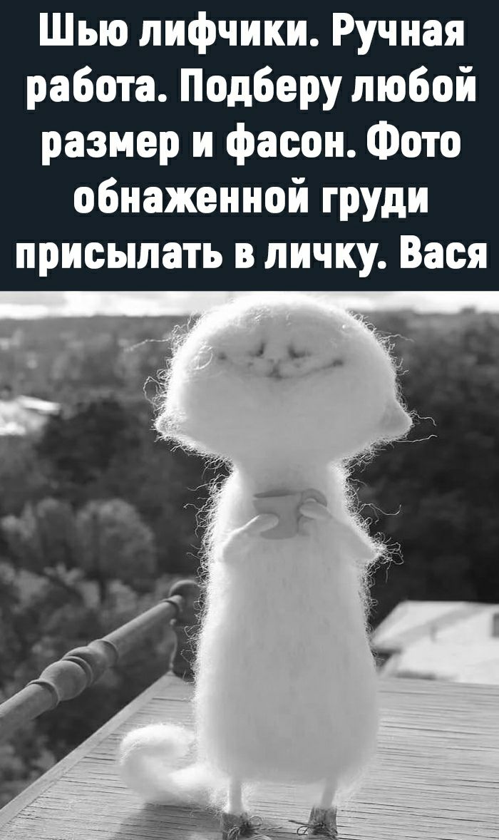 Шью лифчики Ручная работа Подберу любой размер и фасон Фото обнаженной груди присылать в личку Вася