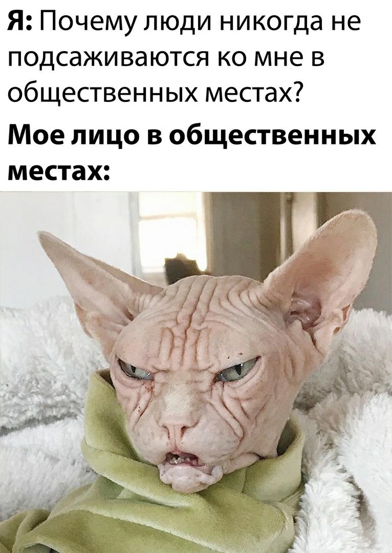 Я Почему люди никогда не подсаживаются ко мне в общественных местах Мое лицо в общественных местах