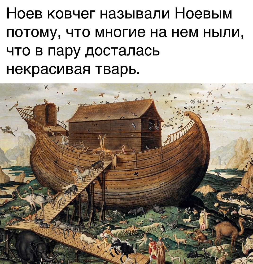 Ноев ковчег называли Ноевым потому что многие на нем ныпи что в пару досталась некрасивая тварь