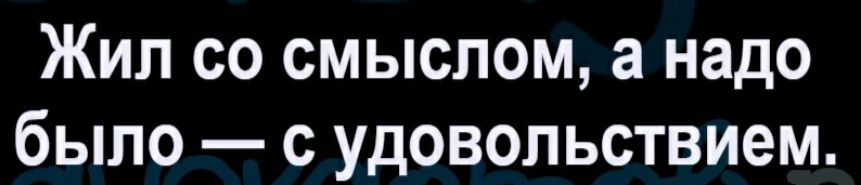 Жил со смыслом а надо было с удовольствием