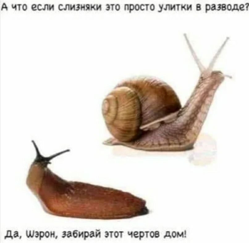 АЧТОССЛИЩЗЮКИЗТОФОСТОУМКИВРБЮОЛВТ да Шэрон забирвй этот чертов дощ