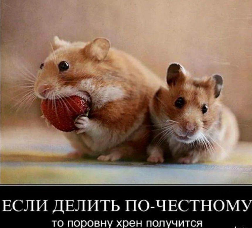 ЕСЛИ ДЕЛИТЬ ПО ЧЕСТНОМ ТО ПОООВН ХоеН ПОЛ ЧИТСЯ