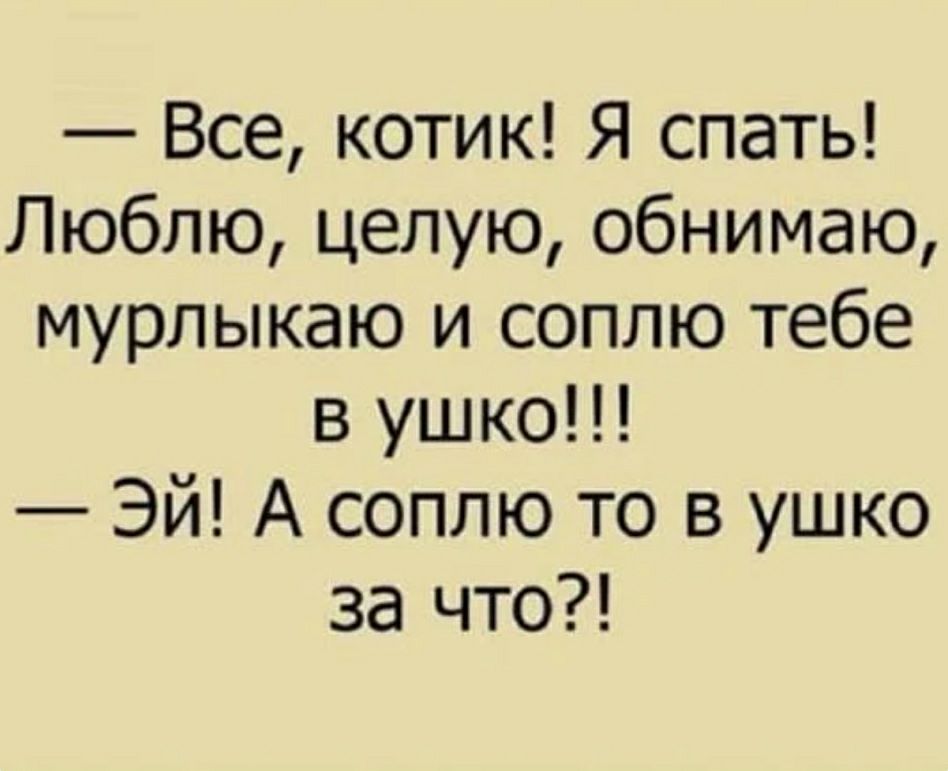 Все котик Я спать Люблю целую обнимаю мурлыкаю и соплю тебе в ушко Эй А соплю то в ушко за что