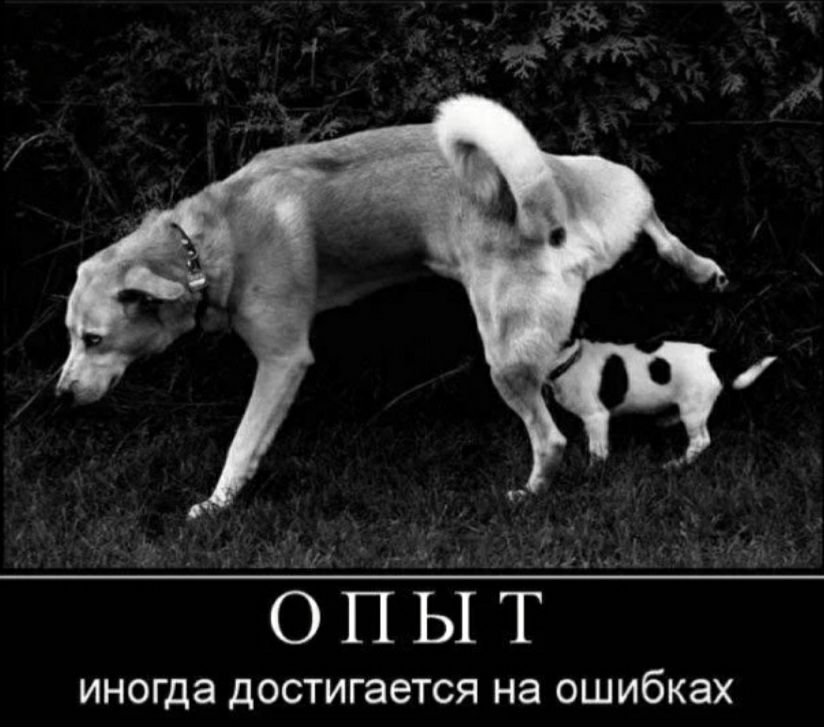 сапы т ИНОГДЭ достигается НЭ ОШИбКЭХ