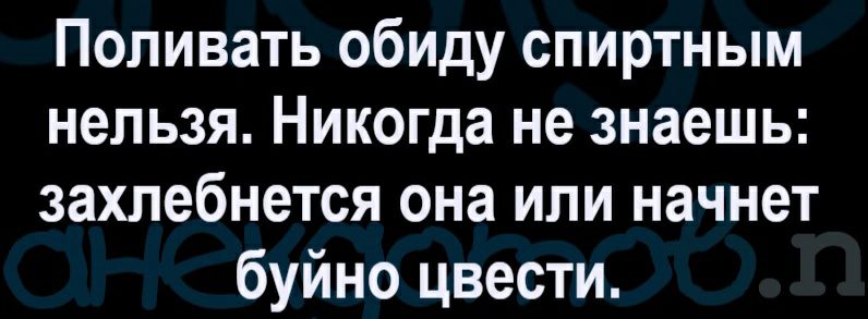 Поливать обиду спиртным нельзя Никогда не знаешь захлебнется она или начнет буйно цвести