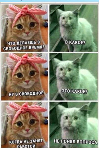 что депдвшь в своводное вРЕМЯ когдА не шт мамой