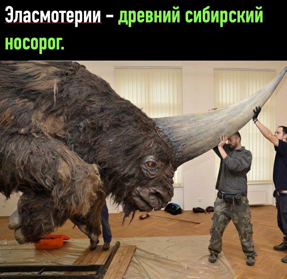 Эласмотерии ышай 1ёбі1ыръъпЁ эш
