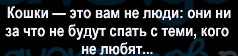Кошки это вам не люди они ни за что не будут спать с теми кого не любят
