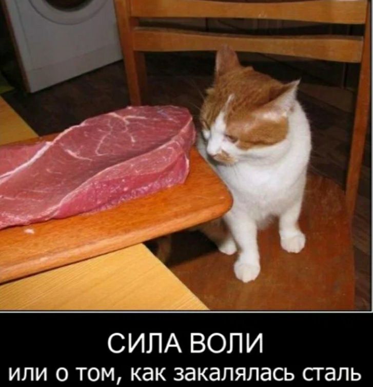 СИЛА ВОЛИ или о том как закалялась сталь