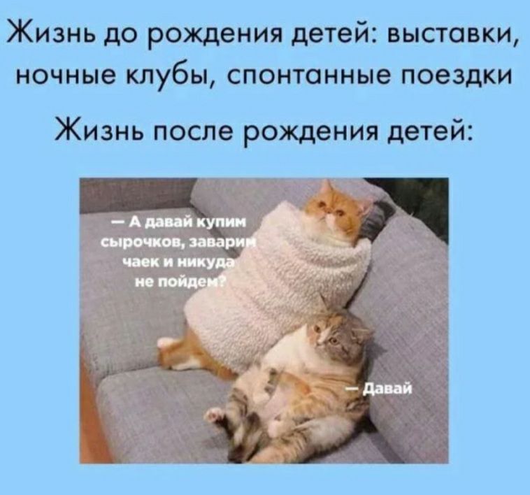 ЖИЗНЬ до рождения детей ВЫСТСВКИ ночные клубы СПОНТСННЫе поездки ЖИЗНЬ после рождения детей ч А
