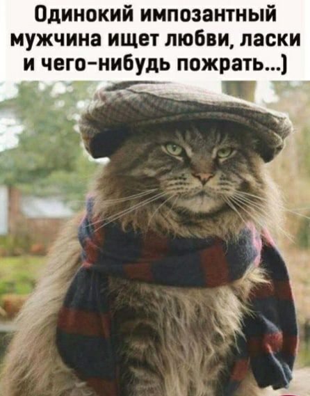 Одинокий импозантный мужчина ищет любви ласки и чего нибудь пожрать