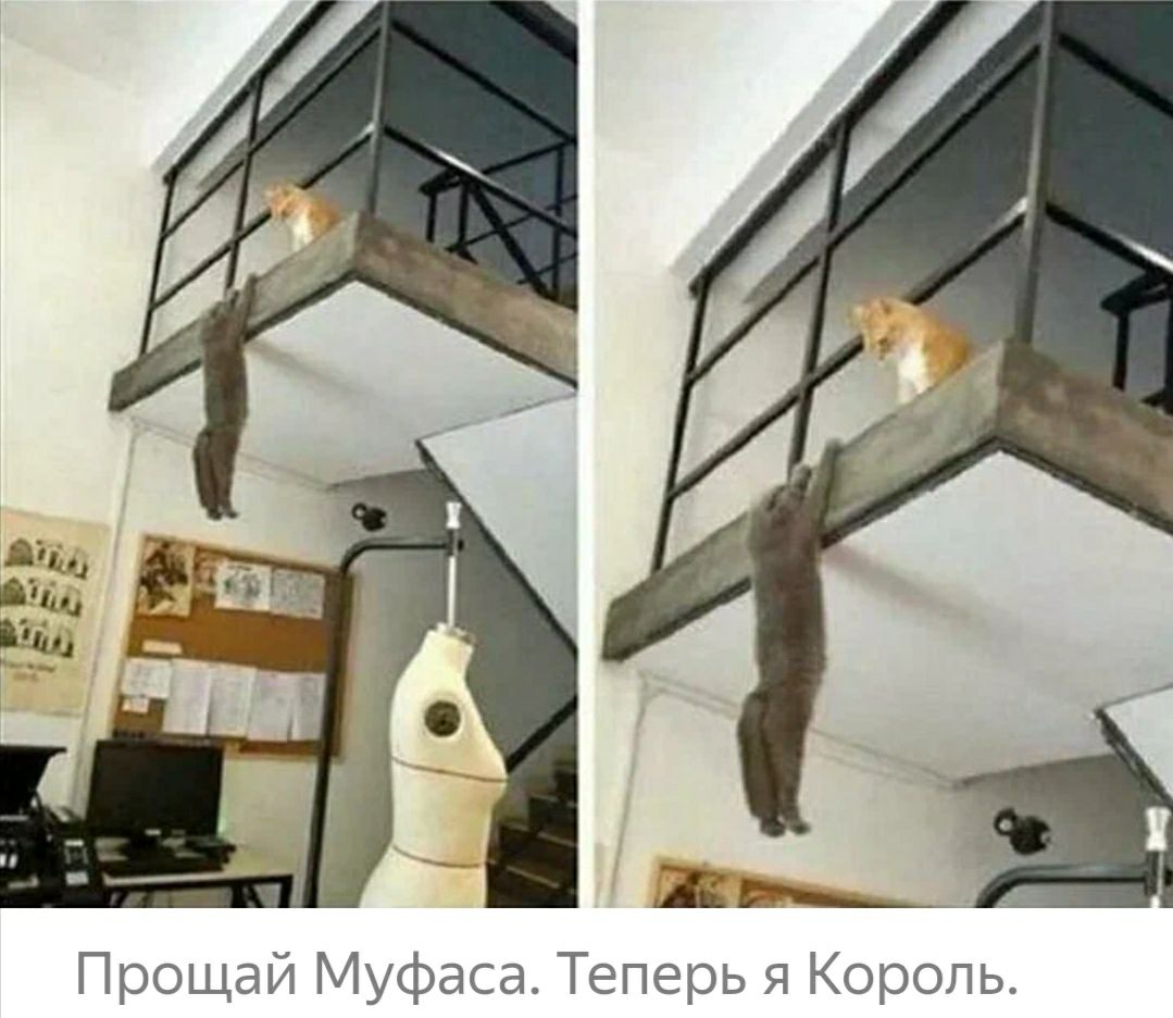 Прощай Муфаса Теперь я Король