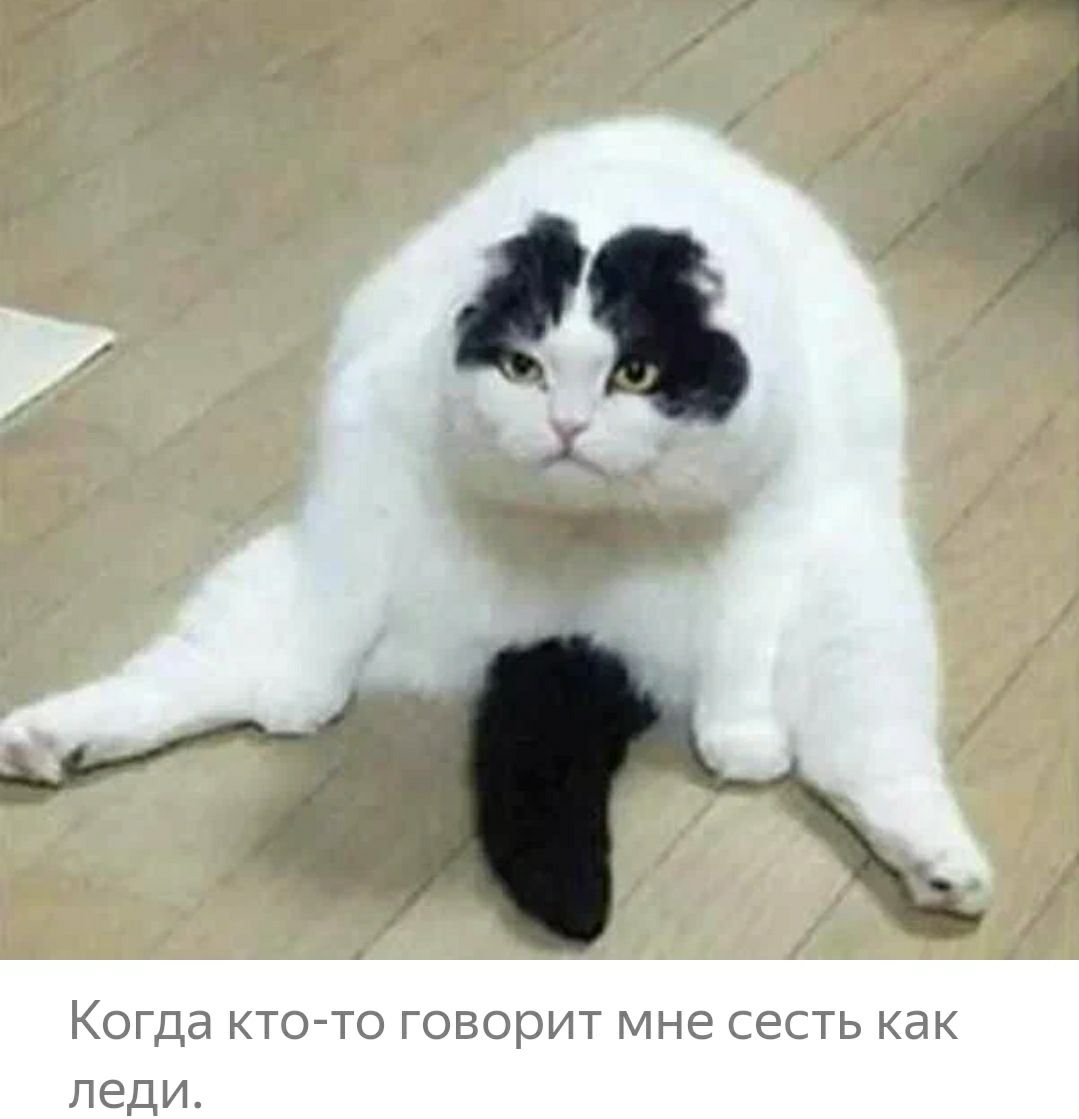 Когда кто то говорит мне сесть как леди